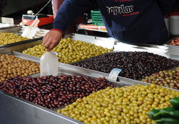 Olive varieties